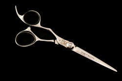 By sokoo Meteor gaucher