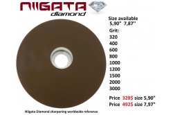 Niiagata Diamond Stone 8