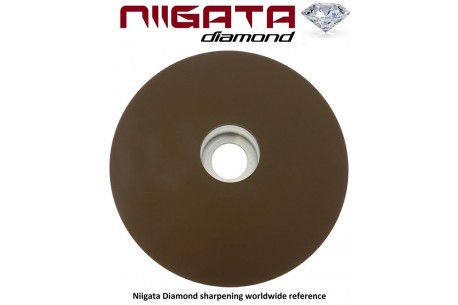 Niiagata Diamond Stone 1200