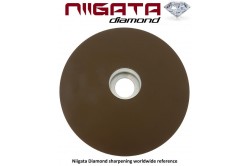 Niigata Diamond Stone 400